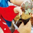 우천바리안마을 이미지