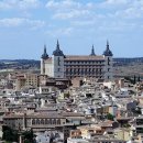 분당우리동물의료센터 이미지