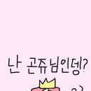 성지연 이미지