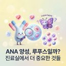 유대현나경선내과의원 | 교대역 류마티스내과, ANA 양성인데 루푸스일까요? 1차의원에서 같이 봐야 하는 검사