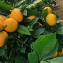 해동농장 이미지