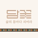 까페꽃향