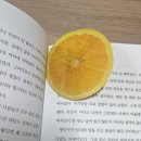 깡헤어 - 거창군 | 오랜만에 테무 깡(+밤티 제품, 추천템) 후기