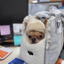 뚜뚜네 미용실 이미지