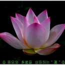 홍연폭포 이미지