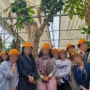 햇살그린농장 이미지