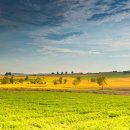 은아영재어린이집 이미지