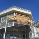 풍물시장 | [강화도] 여행 코스 추천 강화 풍물시장 장날 솔직 후기 방어 1kg 2만원 실화😋