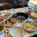 신주영 | [3월]배는 부른데 마음은 허했던 3월 이모저모..🥹