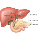 즉석반찬 네이버블로그