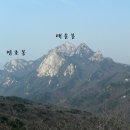 형제봉 Daum카페
