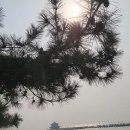 중국 청도 여행 모녀여행 롯데관광 패키지, 1일차 후기