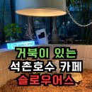 석촌호수 카페 슬로우어스 거북이와 함께 브런치