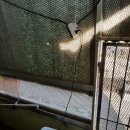 꼬꼬닭하우스 이미지