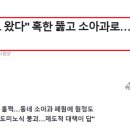 튼튼키즈소아청소년과의원 이미지
