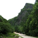 주왕산삼계탕 이미지