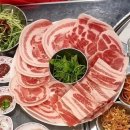 제주시 쌍팔련도 본점, 영업시간, 후기, 연락처