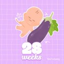 임신일기 (28 ~ 30주) | 임신후기 시작, 소확행 일상모음 그리고 만삭촬영