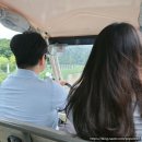 연결하는 집: 대안적 삶을 위한 건축 _ 국립현대미술관 과천 관람 후기 비와도 좋아