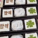 앞날창창