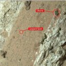 네이처런스(주) 이미지