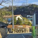 스테이 댕댕 이미지