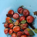 부귀로1400 이미지