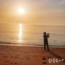 태광회수산 | 태안여행 모항항 어시장 수산물직판장 태광수산 조개구매 후기 240412