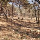 마중리 마을회관 이미지