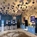 핑크트리 이미지