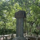 한국시인협회 함양 문학기행 5.24~25
