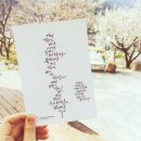 문예진캘리그라피 이미지