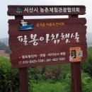 가로림 농장 네이버블로그