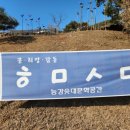 옥순봉로 이미지