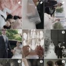 believe(빌리브) | 본식 DVD, 빌리브폴 believe P.O.L 계약 후기🫶🏼 (가격/ 무제한 짝꿍 코드: 261114 정유정)