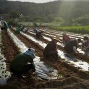 대흥리마을 이미지