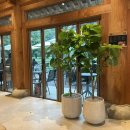 금빛농원 | 내돈내산 광주 가을 나들이에 딱, 고창 선운사 <폴바셋> 야외테라스+상하농원 아이스크림 힐링