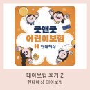 (주)현대종합건재 | 태아보험 언제 가입해야 할까? 현대해상 다이렉트 가입 후기