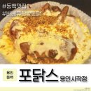 포닭스 이미지