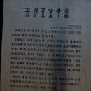 고려이용