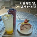 신정호수상레저 | 신정호 뷰 맛집 카페 오브, 케이크 직접 만드는 아산 디저트 카페