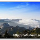 덕산성당 앞 이미지