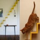 고양이 놀이터 이미지