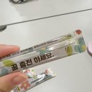 비사랑벌꿀