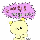 [웨딩밴드] 부쉐론 파셋 플래티늄 구매 후기 / 웨딩링 투어 없이 바로 선택! 💍