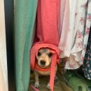 사랑녹십자약국 이미지