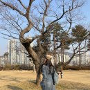 [ 봄가을 청자켓 ] 게스 여성 앞후크 데님 롱자켓 ( 선물받은 최애아우터 넘이뿨&gt;&lt; )