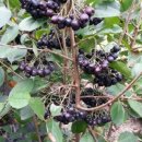 생목농장 이미지