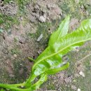 황보농장 이미지