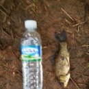 원관원제 이미지